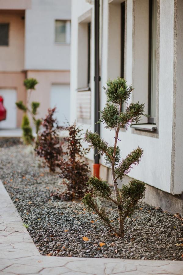 تيميشورا The Nook Aparthotel المظهر الخارجي الصورة